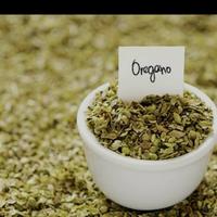 Gambar Daun origano kering repack 50gr - 100 gram dari PD KEDIRI undefined 1 Tokopedia