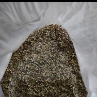 Gambar Daun origano kering repack 50gr - 100 gram dari PD KEDIRI undefined 2 Tokopedia