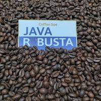 Gambar Kopi Robusta 1kg MEDIUM ROAST Biji dan Bubuk Roasted Java Robusta 1 kg - Bubuk Halus dari Kopi Coffeesae undefined 2 Tokopedia