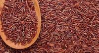 Gambar Beras Merah Super Pulen 5kg dari Tokoku BSD undefined 1 Tokopedia