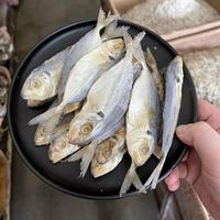 Gambar Ikan Asin Selar Jawa 250gr dari Ikan Asin GBH undefined 1 Tokopedia