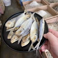 Gambar Ikan Asin Selar Jawa 250gr dari Ikan Asin GBH undefined 2 Tokopedia