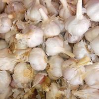 Gambar Bawang Putih Kating Kotor kemasan 1 kg dari Aurelshop2018 undefined 2 Tokopedia