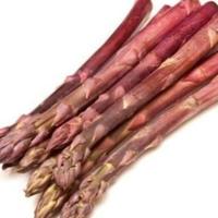 Gambar Bibit Unggul Asparagus Merah | Benih Asparagus Merah |Bibit Asparagus dari De Coral undefined 3 Tokopedia