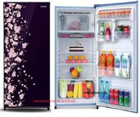 Gambar KULKAS SHARP 1 PINTU SJ-N 182 VB dari Golden Elektro undefined 2 Tokopedia
