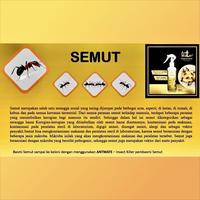 Gambar Ant Mate Cairan Anti Semut ANTMATE Semut Langsung Mati Botol Spray 250 ml Tidak Berbau & Tidak Berbekas dari Pest Control Distribution undefined 2 Tokopedia