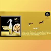 Gambar Ant Mate Cairan Anti Semut ANTMATE Semut Langsung Mati Botol Spray 250 ml Tidak Berbau & Tidak Berbekas dari Pest Control Distribution undefined 1 Tokopedia