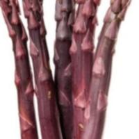 Gambar Bibit Unggul Asparagus Merah | Benih Asparagus Merah |Bibit Asparagus dari De Coral undefined 2 Tokopedia