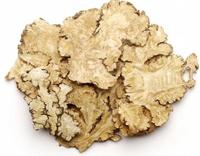 Gambar Chuan kiong / Ligusticum striatum / Chuan gong / Chuan xiong 100gr dari sehatjaya88 undefined 3 Tokopedia