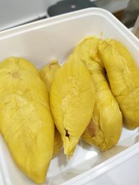 Gambar Durian Musang King Fresh Kupas - 375-400 Gram dari kangenduren undefined 3 Tokopedia