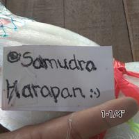 Gambar Jaring Senar 0.20 MS 1-1/4" 100x100 YOKO dari SamudraHarapan undefined 2 Tokopedia