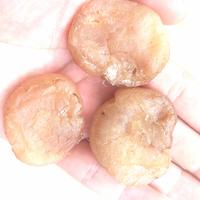 Gambar dried scallop kering, Scallop kering, Scallop original lokal, 100gram dari MJB HASILLAUT dan HASILGUNUNG undefined 1 Tokopedia