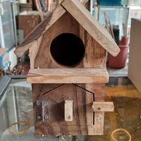 Gambar Lovebird dan Parkit | Glodok Lovebird dan Parkit | Bentuk Rumah Kecil. dari Niaga Satwa undefined 1 Tokopedia