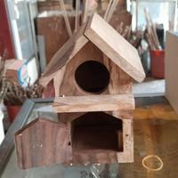 Gambar Lovebird dan Parkit | Glodok Lovebird dan Parkit | Bentuk Rumah Kecil. dari Niaga Satwa undefined 2 Tokopedia