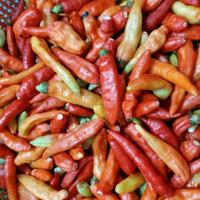 Gambar cabe rawit merah petik 1 kg dari BAKULNYA SAYUR_NEW undefined 2 Tokopedia
