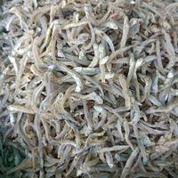 Gambar ikan teri buntiau vip dari IKAN ASIN (EBI) undefined 1 Tokopedia