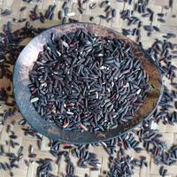 Gambar Beras Ketan Hitam Bergizi 1 kg dari Haris Jaya Store_NEW undefined 2 Tokopedia