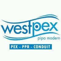 Gambar ELBOW PPR 1/2 INCH WESTPEX / KNEE WESTPEX 20 MM / ELBOW 90 PPR dari Valve Besi PVC undefined 4 Tokopedia