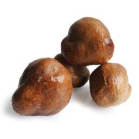 Gambar Buah Zuriat Mesir 1 kg Promil dari Bos Kurma_NEW undefined 2 Tokopedia