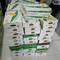 Gambar kurma sukari 3kg/kurma sukari premium/kurma sukari dari kurma Al Irsyad Jakarta undefined 5 Tokopedia