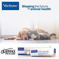 Gambar Nutriplus gel 120gr - Nutri Plus Gel Suplemen Vitamin Kucing Anjing dari Headstage undefined 1 Tokopedia