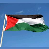 Gambar bendera Palestina UK 50 x 80 ( kecil ) dari oesstore undefined 1 Tokopedia
