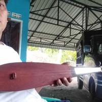 Gambar 1 buah kecapi batak atau hasapi dari UdMaduma undefined 2 Tokopedia