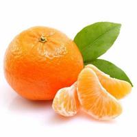 Gambar Bibit Tanaman Buah Jeruk Mandarin Okulasi-Bibit Jeruk dari Agro Bibit Murah (ABM) undefined 1 Tokopedia