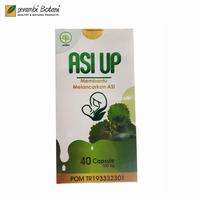 Gambar Kapsul Pelancar ASI (ASI UP) dari 2R herbal shop undefined 1 Tokopedia