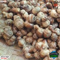 Gambar 250g Kencur Segar Cikur Fresh Murah Asli Ekspor Quality dari JAMA 49 STORE undefined 3 Tokopedia