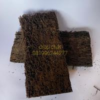 Gambar Pakis Anggrek - premium dari at Sekar Jagad undefined 1 Tokopedia