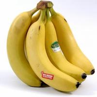 Gambar pisang Sunpride dari Ar buah. undefined 1 Tokopedia