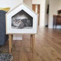 Gambar cat house rumah kucing anggora persia scottish luxury premium cages - rumah only dari Tri Murcti Corporation undefined 5 Tokopedia