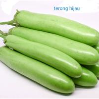 Gambar SAYUR TERONG UNGU per 500gr - Ungu dari SAYUR MAYUR JOGJA undefined 2 Tokopedia