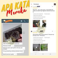 Gambar Kue Balok Lumer SULTAN Original Coklat Jepang Premium Quality - Coklat dari cmilezz undefined 5 Tokopedia