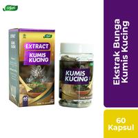 Gambar Ekstrak Kumis Kucing - 60 Kapsul - HERBAL INFEKSI SALURAN AIR SENI dari HabbaSyifa Official undefined 2 Tokopedia