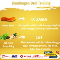 Gambar Suplemen Obat Kapsul Pil Vitamin Pemutih Badan Permanen BPOM Ampuh dari PT Indoherbal undefined 4 Tokopedia