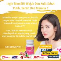 Gambar Suplemen Obat Kapsul Pil Vitamin Pemutih Badan Permanen BPOM Ampuh dari PT Indoherbal undefined 2 Tokopedia