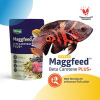 Gambar 100 gr Maggot kering Maggfeed pakan ikan koi louhan oscar dari Biomagg Indonesia undefined 1 Tokopedia