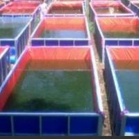 Gambar kolam terpal kuat air berendam renang ikan bongkar pasang besi dari Piramida Sign undefined 1 Tokopedia
