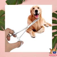 Gambar Cat Dog Ear Hair Plugger Alat Pencabut Bulu Telinga Anjing Kucing dari PETIVORA undefined 2 Tokopedia