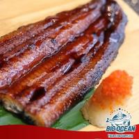 Gambar Unagi Kabayaki Size S Premium Quality dari Big Ocean Bandung undefined 1 Tokopedia