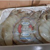 Gambar udang vaname / tambak ukuran besar | seafood | hasil laut segar dari north seafood jakarta undefined 1 Tokopedia