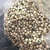Gambar MERICA BUTIR / LADA PUTIH BUTIR - 100 gram dari Blonjoesayur undefined 1 Tokopedia