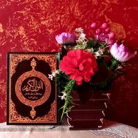 Gambar Mushaf Qiroat 10 | Per Riwayat | Original - Imam Nafi-Warsy dari Lantabour Online Shop undefined 3 Tokopedia