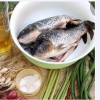 Gambar Paket arsik ikan mas 1kg dari Toko Aira gerak tani undefined 1 Tokopedia
