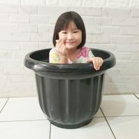 Gambar Pot Jumbo Tanaman besar 50 pot 60 tanaman hias buah / bunga pot hitam Plastik - Pot 50 Doff dari grosir botol_NEW undefined 4 Tokopedia