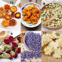 Gambar Edible Flowers Custom order Ukuran Besar For Cake dan tea - 500gr dari Broadway Style undefined 2 Tokopedia
