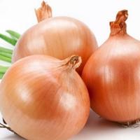 Gambar Bawang Bombay / Sayur Segar Fresh dari Java Jaya Seafood undefined 3 Tokopedia