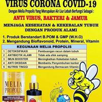 Gambar MELIA PROPOLIS 30ML 5KOTAK PT. MELIASEHAT SEJAHTERA - 5 Kotak dari MADU AL-RAYYAN undefined 4 Tokopedia